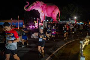 BIB: 
                            <button type="button" onclick="openModal(26552343)" class="btn btn-primary btn-sm float-right btn-popup" data-toggle="modal" data-target=".modal-high-quality">
                        <i class="fas fa-shopping-cart"></i> Add to Cart
                    </button>
                                            <button type="button" onclick="isThisMe(26552343, true)" class="btn btn-success btn-sm float-right btn-popup btn-isme hidden" data-toggle="tooltip" data-placement="bottom" title="นี่คือรูปของคุณใช่ไหม คลิกที่นี่เพื่อเอาเข้าอัลบั้ม">
                        <i class="fas fa-plus"></i> Add to album
                    </button>
                    <button type="button" onclick="isThisMe(26552343, false)" class="btn btn-warning btn-sm float-right btn-popup btn-isnotme hidden">
                        <i class="fas fa-ban"></i> Remove from album
                    </button>